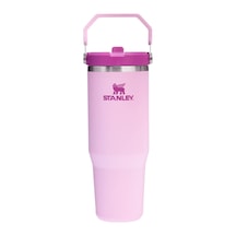 Stanley Iceflow Flip Straw Tumbler Pipetli Termos Bardak, Kiraz Ç Çok Renkli