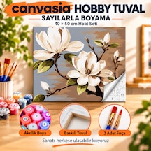 Sayılarla Boyama Numaralı Tuval Seti Boya Fırça Dahil 40x50 Cm Beyaz Manolya