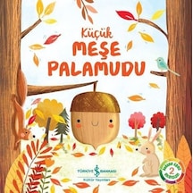 Küçük Meşe Palamudu - Doğanın Eşsiz Hikayeleri-2 - Melanie Joyce - İş Bankası Kültür Yayınları