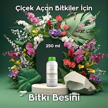 Florista 250 Ml Tüm Çiçekli Salon Bitkileri İçin Canlandırıcı 250 ML