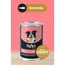 Plus Sos İçinde Et Parçacıklı Somonlu Yetişkin Köpek Konservesi 400 Gr