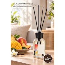 1 Adet Fruit Cascade Bambu Çubuklu Oda Kokusu 110 Ml Cam Şişe 4 Çubuklu Eşit Yayılım Mango Ananas Şeftali Vanilya Reed Diffuser Room Fragrance Diğer