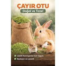 Doğal Çayır Otu Kemirgen Yemi Tavşan Hamster Ginepig Chinchilla D