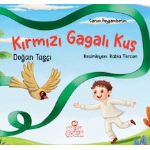 Kırmızı Gagalı Kuş - Dppq-772374