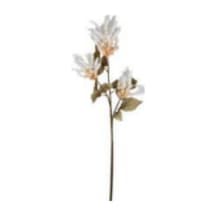 Yapay Çiçekli Bitki, Pampas, Krem - 90 Cm Çok Renkli