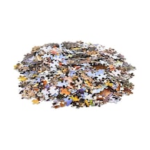Pazly 1000 Parçalı Büyüleyici Puzzle: Liman, Şehir, Orman Ve Daha Fazlası Diğer Diğer