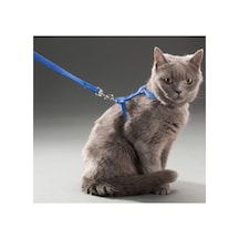 Kedi Boyun Ve Göğüs Tasması 0.05 M