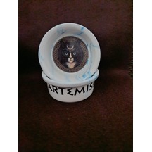 Raccoon Olimpos Serisi Artemis Seramik Mama Ve Su Kabı 300ml