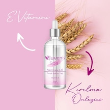 Lexroo Spa Tırnak Bakım Yağı 50 Ml.