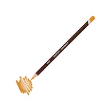 Coloursoft Profesyonel Kuru Boya Kalemi C060 Pale Orange Karışık Çok Renkli