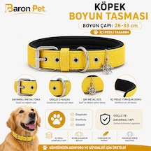 Pedli Köpek Boyun Tasması 28-33 Cm 2 Cm İçi Pedli Metal Tokalı D Halkalı - Sarı Çok Renkli