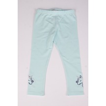 Mint Yeşili