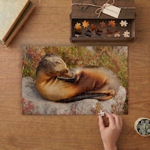 Galapagos Deniz Aslanı Tasarımı 240 Parça Ahşap Puzzle Ahşap Kutuda Mpy60125