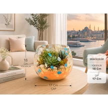Üfleme Cam Teraryum Saksı Seti Turuncu Mavi Benekli Dekoratif Cam Kase Vazo 18x17 Cm