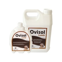 Royal İlaç Ovisol Lamb 5 L