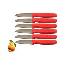 Sürmene Sürbisa 061007 Meyve Bıçağı 6 Lı Set Fuşya