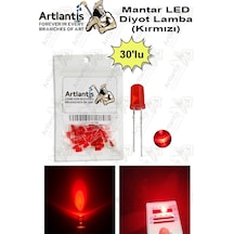 Kırmızı Mantar Led Diyot Lamba 30 Lu 1 Paket Kırmızı 4.8 Mm Mini Mantar Led Lamba Deney Bilim Proje Arduino Işığı