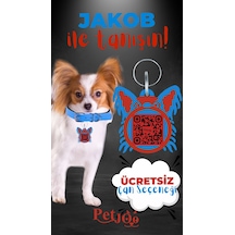 Petjoo 8.Jakob Kırmızı-Mavi Qr'lı Köpek Künyesi