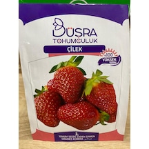 Büşra Çilek Tohumu Çilek