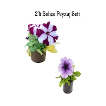 Bodro Beyaz Petunya 10-20cm +açık Mor Petunya 10-20cm 2'li Bahçe Peyzaj Seti