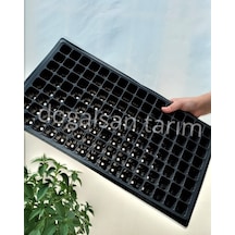 20 Adet Fide Viyol 128 Göz Fide Viyolü Fide Viyolleri Fidelik