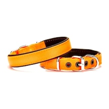 Softlu Köpek Boyun Tasması 2 Cm X 40 Cm Tcu Çok Renkli