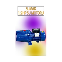 1,1 Kw 1,5 Hp 2820 D/d 5,8 A. Su Motoru 220 V/50 Hz Su Pompası Jet Pompası