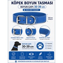 Deri Köpek Boyun Tasması 30-39 Cm 2 Cm Metal Tokalı D Halkalı Ayarlanabilir - Saks Mavi Çok Renkli