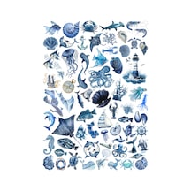 66 Adet Mavi Okyanus Temalı Sticker Seti - Etiket Seti Scrapbook Bullet Journal Çok Renkli