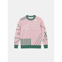 Xint Pembe Regular Fit Bisiklet Yaka Yünlü Kazak 801821