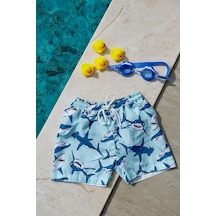 Mint Yeşili