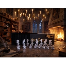 Harry Potter Satranç Taşı Seti