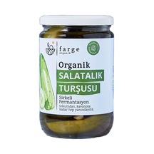 4 Adet Farge Organik Salatalık Turşusu 600 G