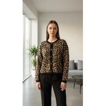Leopar