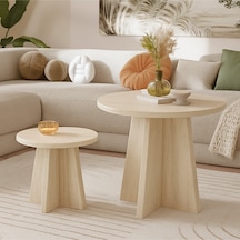 Luna Model 2 Li Orta Sehpa Seti, 58 Cm, 40 Cm Çaplı, Yükseklik 39 Cm, 46 Cm İskandinav Stil Çok Renkli
