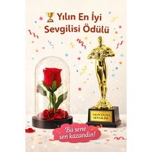 Home Dekor Hediye Sevgililer Gününe Romantik Hediye Yılın En İyi Sevgilisi Oscar Biblo Ve Işıklı Mika Fanus Gül Seti