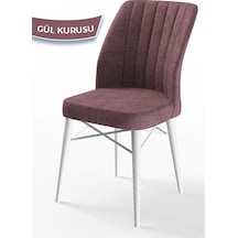 Canisa Concept Flex Serisi, Üst Kalite Mutfak Sandalyesi, Gürgen Beyaz Ahşap Ayak, Gülkurusu Sandalye Sandalye Gülkurusu Ayaklar Beyazz