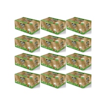 Ofçay Hazine Zengindem Demlik Poşet Çay  30 x 15 G 12 Adet
