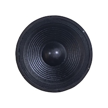 Westa Wp-1245 12'' 300 Watt Çıplak Hoparlör