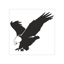 Kartal Folyo Sticker Derstv750 200cm Uzunluk Siyah