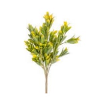 Yapay Bitki Demeti Sarı-yeşil 40 Cm. Çok Renkli
