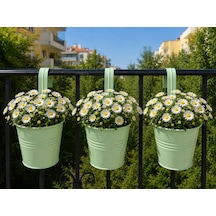 Askılı Balkon Saksı Seti, 3 Adet, Metal, Açık Yeşil 1,5lt 001