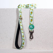 Pawstar L21 Avocado Sevk Kayışı Çok Renkli