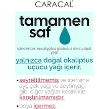 Caracal Saf Okaliptus Yağı Doğal Okaliptus Uçucu Yağı 10 Ml Okaliptüs Yağı