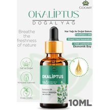10 ML