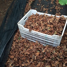 2x20 Metre Fındık Sergisi Fındık Toplama Filesi Fındık Kurutma Örtüsü 40'lık Gölgelik Fındık Altı File Hasat Taban Örtüsü