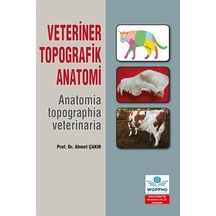 Veteriner Topografik Anatomi Veteriner Topografik Anatomi