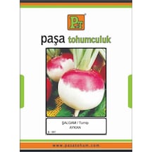 Şalgam Aykan 10 Gr X2 Paket