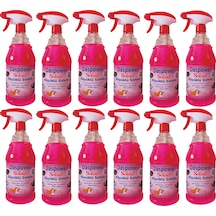 Solixel Daspower Çok Amaçlı Genel Temizlik 12 x 1 L