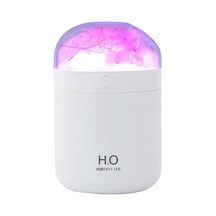 Novahub Aeonium Nemlendirici Mini Ev Yatak Odası Hidrasyon Masaüstü Püskürtücü Aromaterapi Ortam Işığı Nemlendiriciler Difüzör Uçucu Yağ - Beyaz